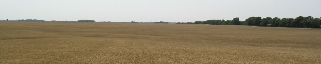 Photo: Miller Seed Farms LLC