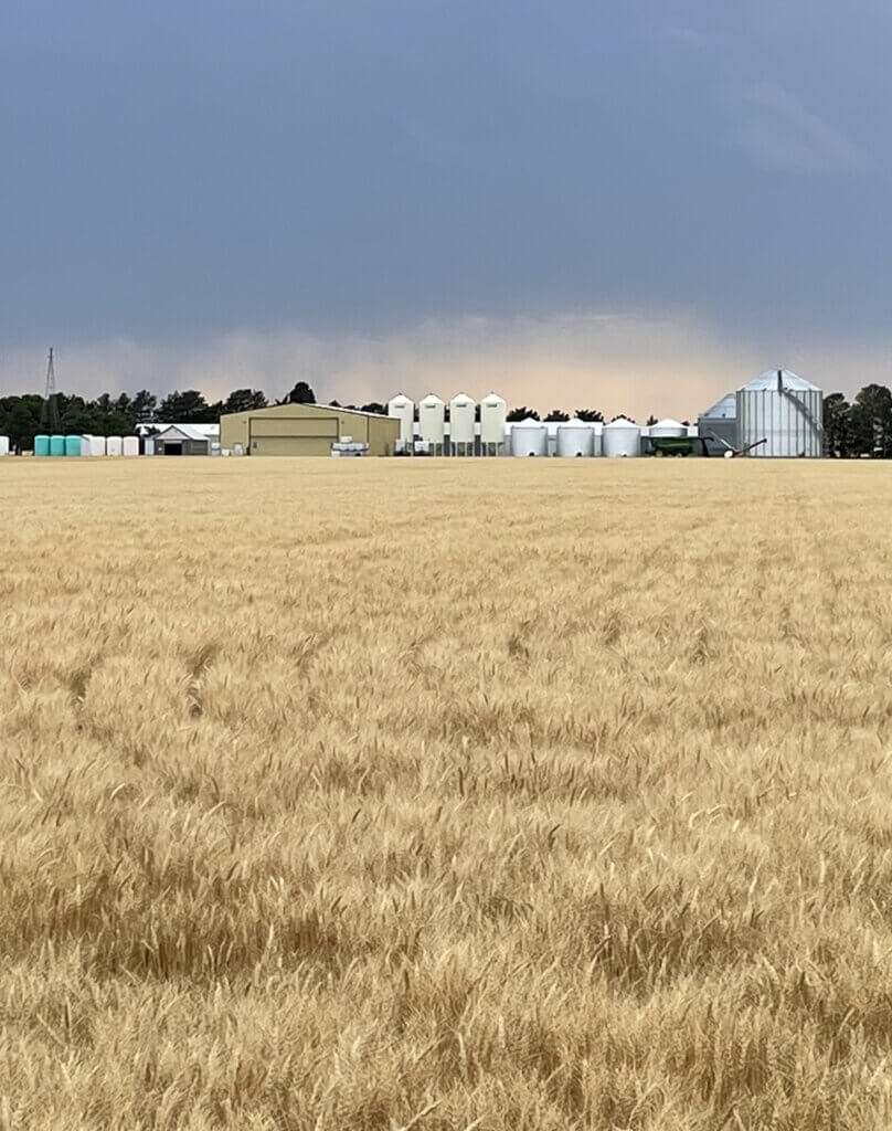 Photo: JL Farms Farmstead