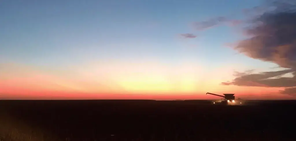 Image: Harvest at Horton Farms.