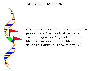 Genetic Markers