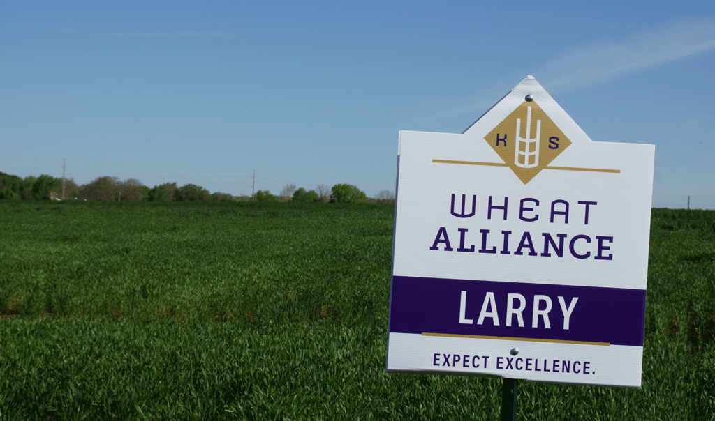 Photo: Field of Larry Wheat.