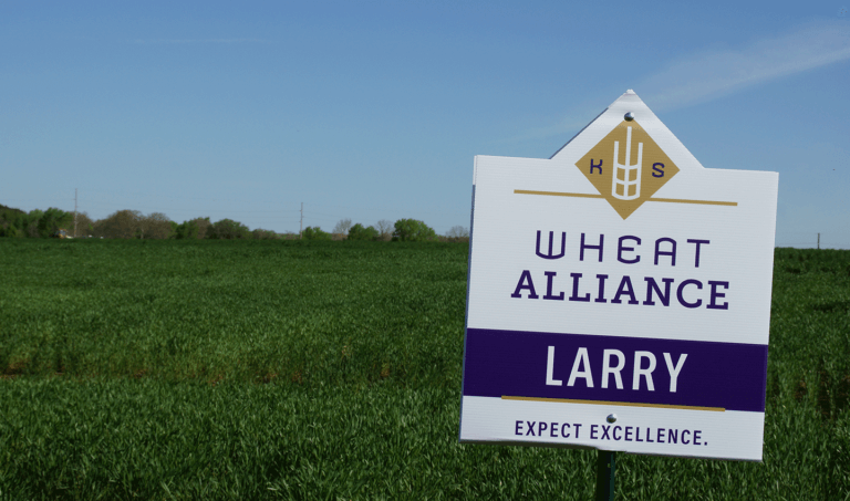 Photo: Field of Larry Wheat.