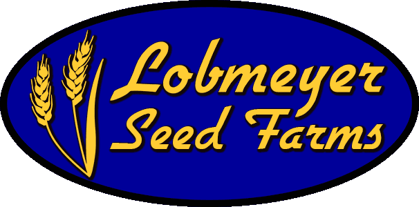 Lobmeyer seed